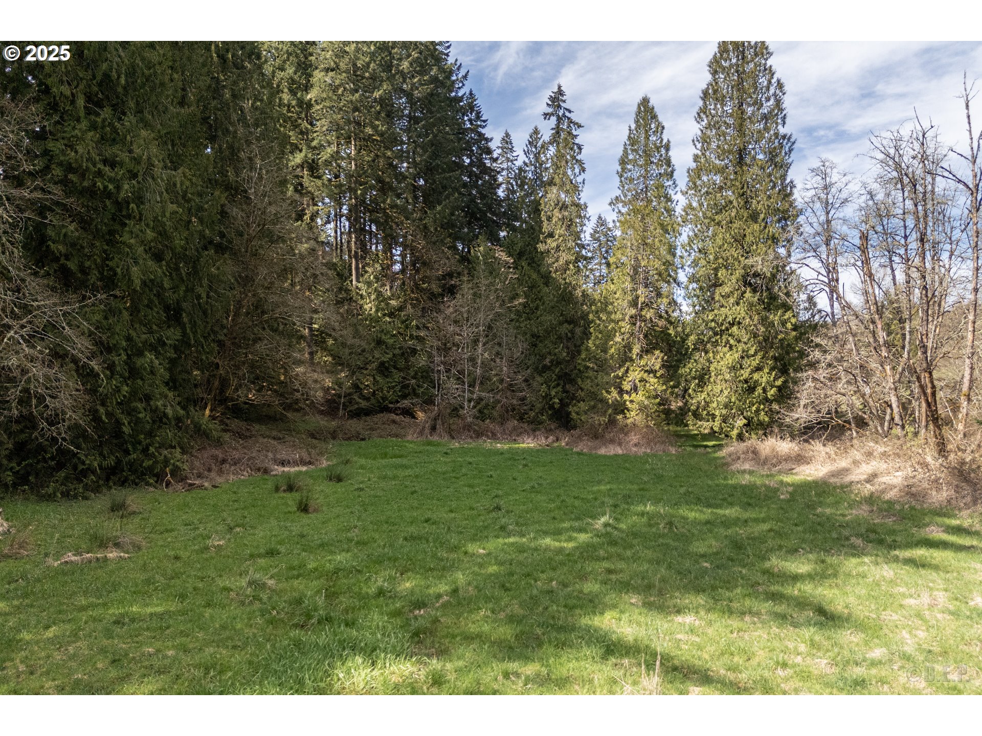 0 Oester Rd Property Photo 11