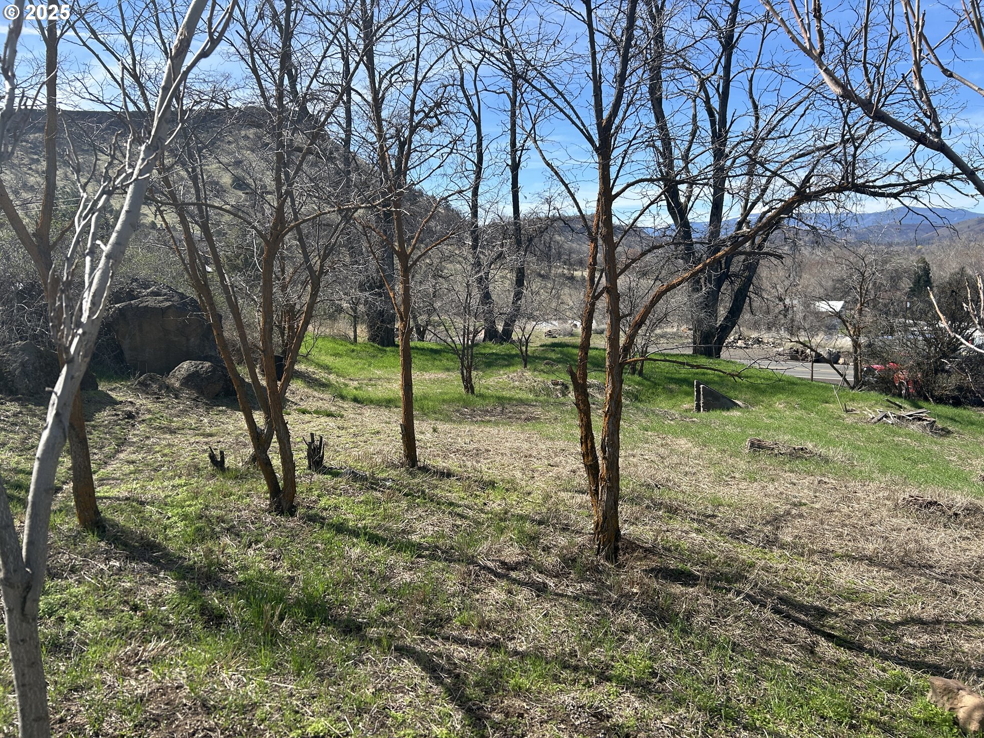 Wamic Market Rd Property Photo 4