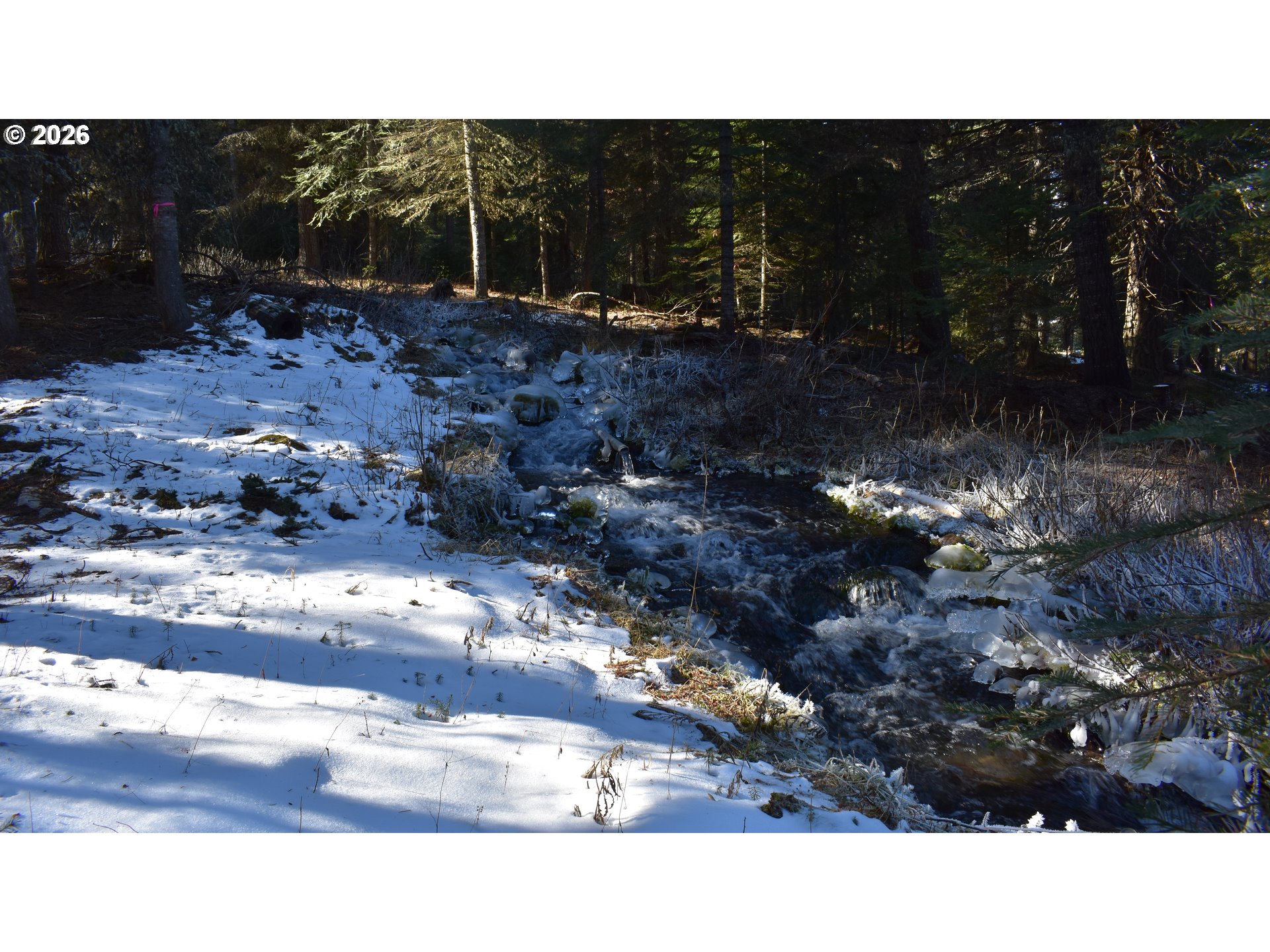 60839 Liberty Rd Property Photo 11