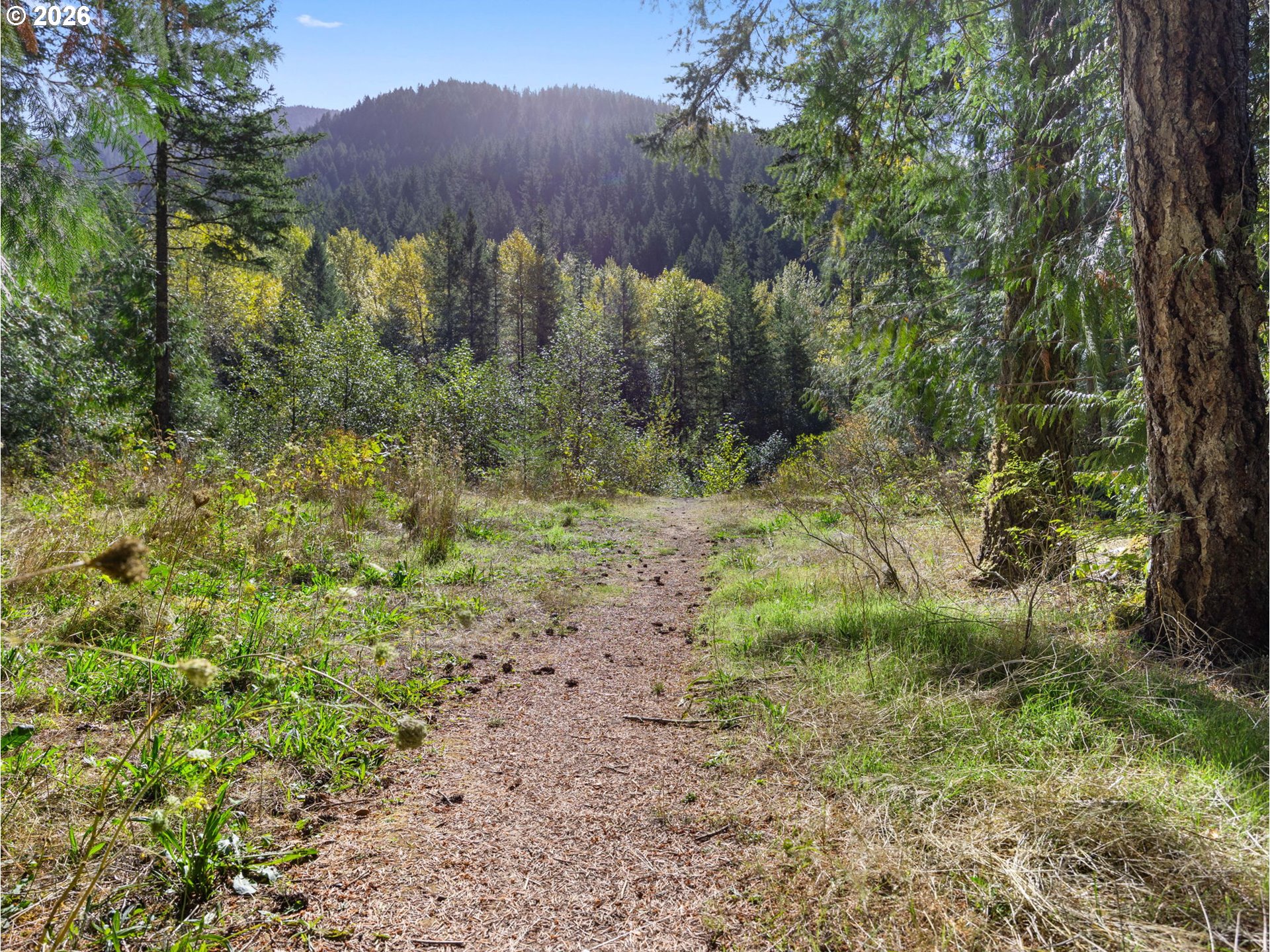72691 E Village Loop Rd Property Photo 38