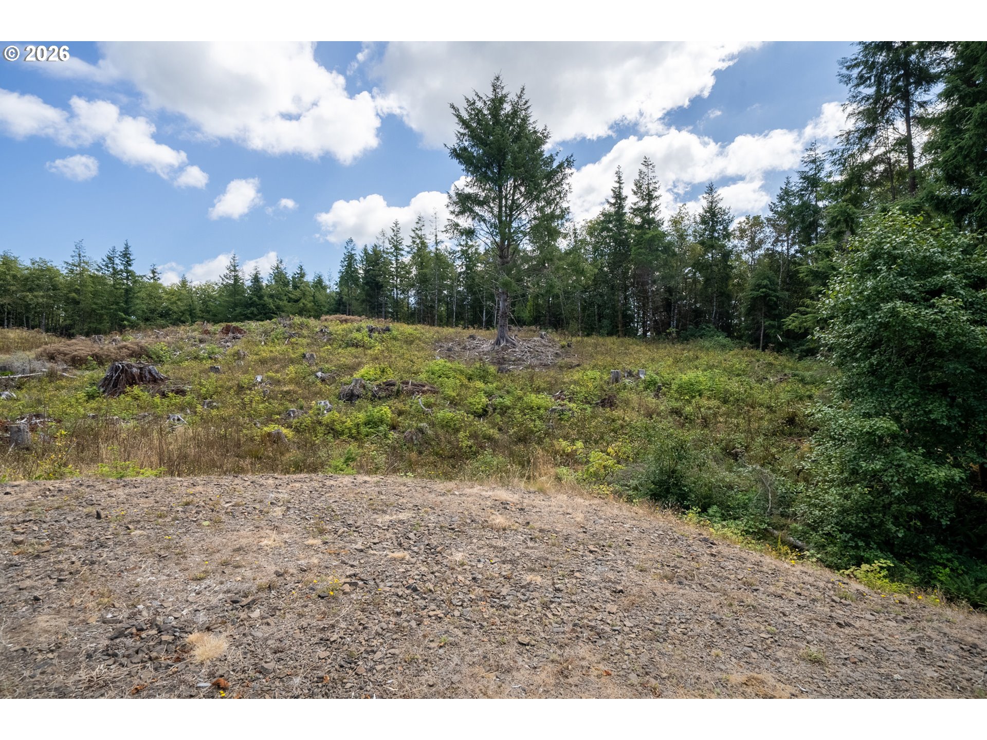 Sequoia Loop Property Photo 3