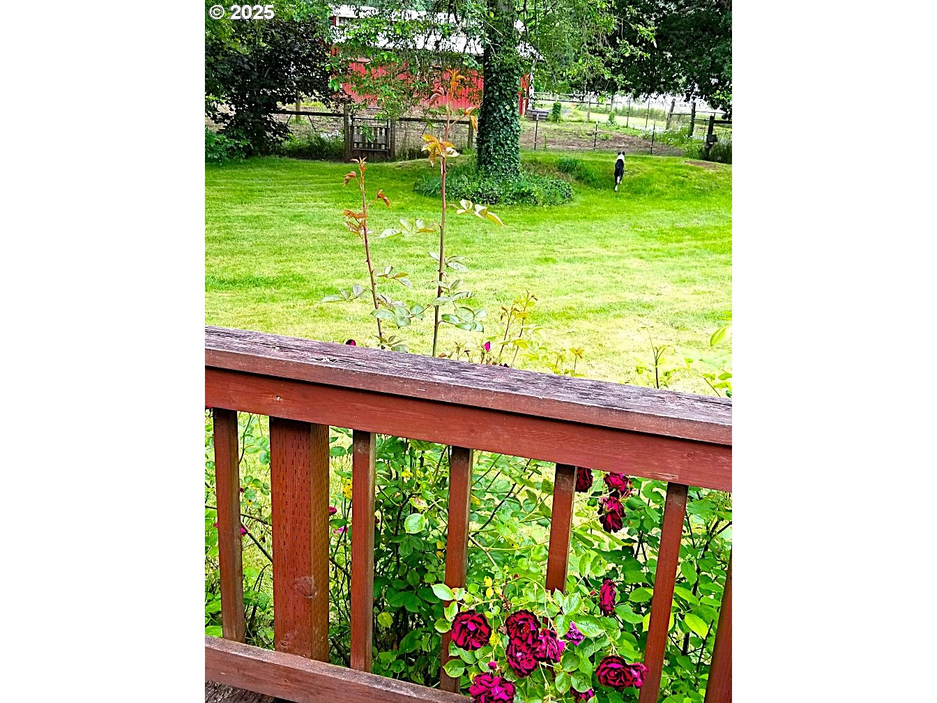 38717 Dexter Rd Property Photo 30