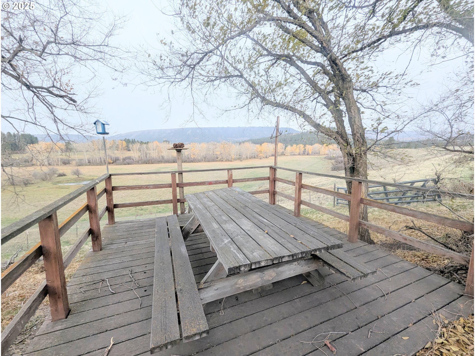71564 Palmer Junction Rd Property Photo 35