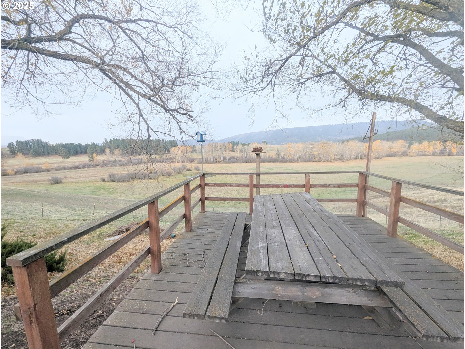 71564 Palmer Junction Rd Property Photo 36