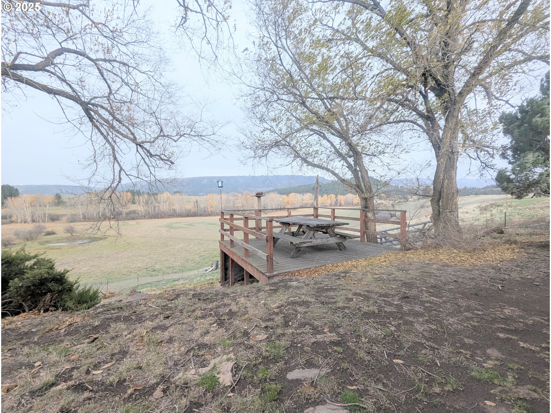 71564 Palmer Junction Rd Property Photo 37