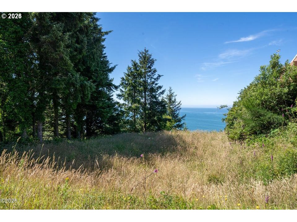Maxwell Mountain Rd Property Photo 11
