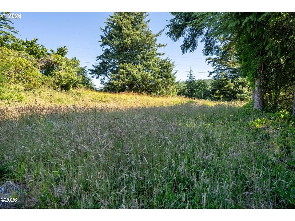 Maxwell Mountain Rd Property Photo 13