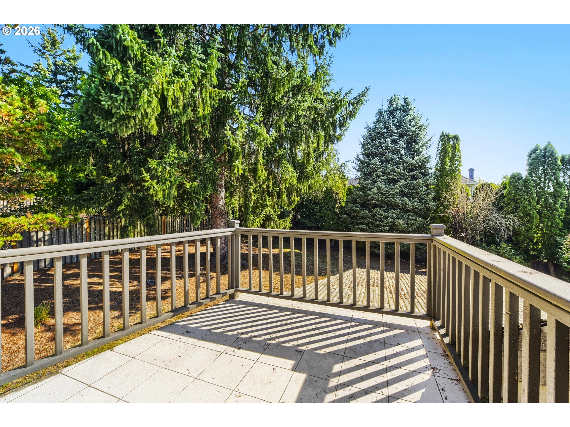 14232 Meadow Grass St Property Photo 20