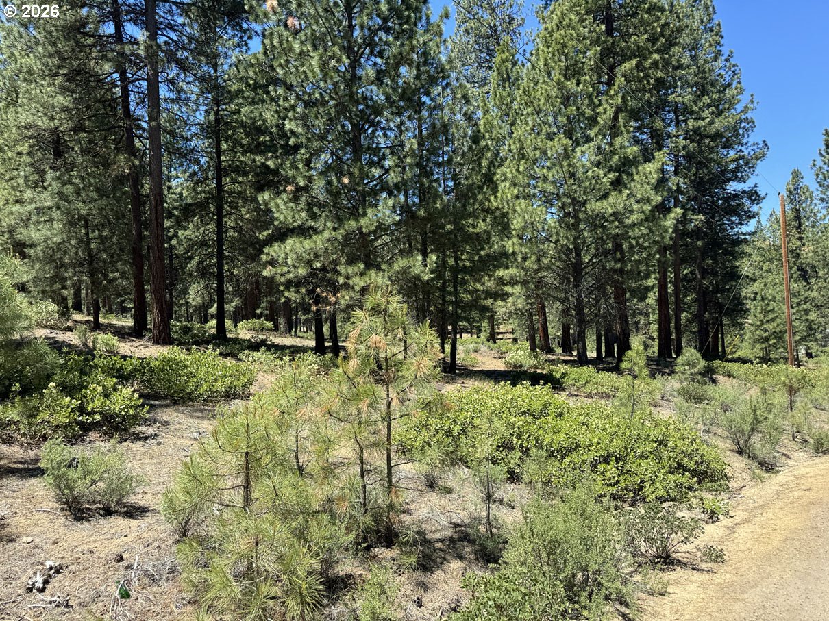 Incline Dr 22 Property Photo 2
