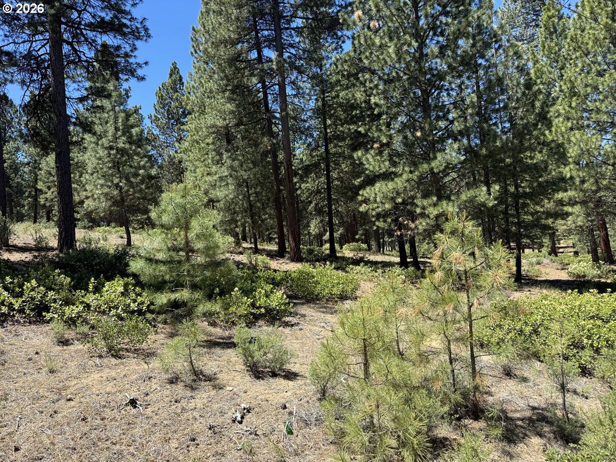 Incline Dr 22 Property Photo 3