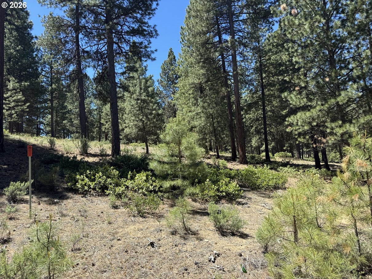 Incline Dr 22 Property Photo 4