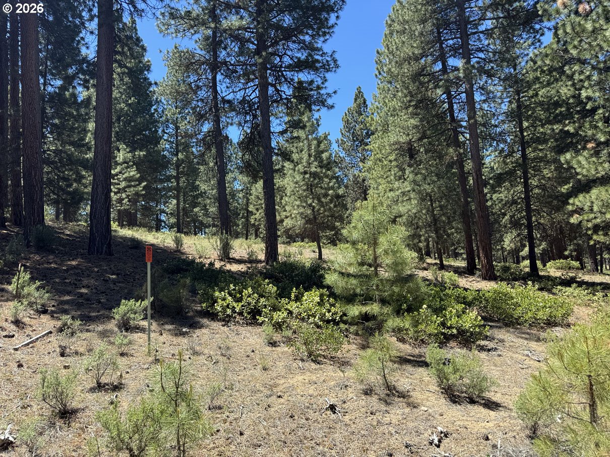 Incline Dr 22 Property Photo 5