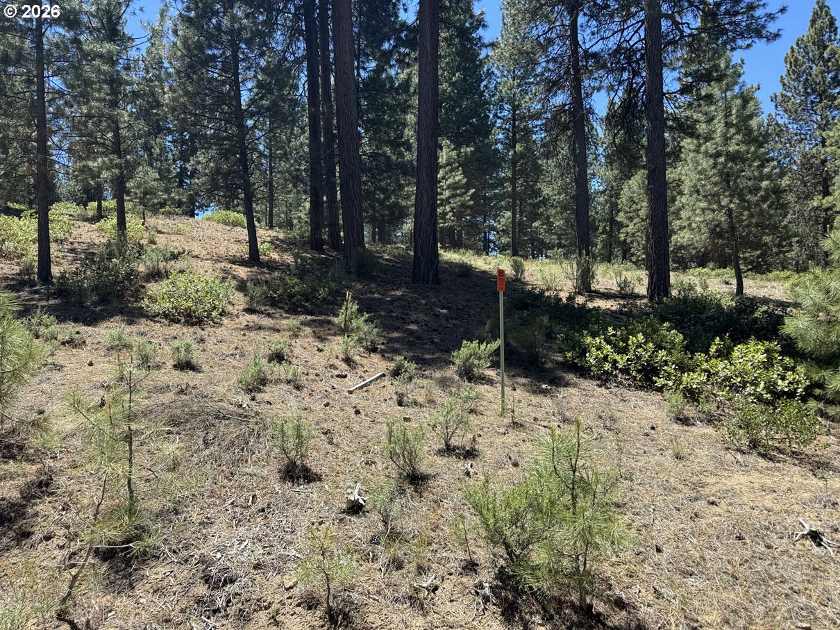 Incline Dr 22 Property Photo 6