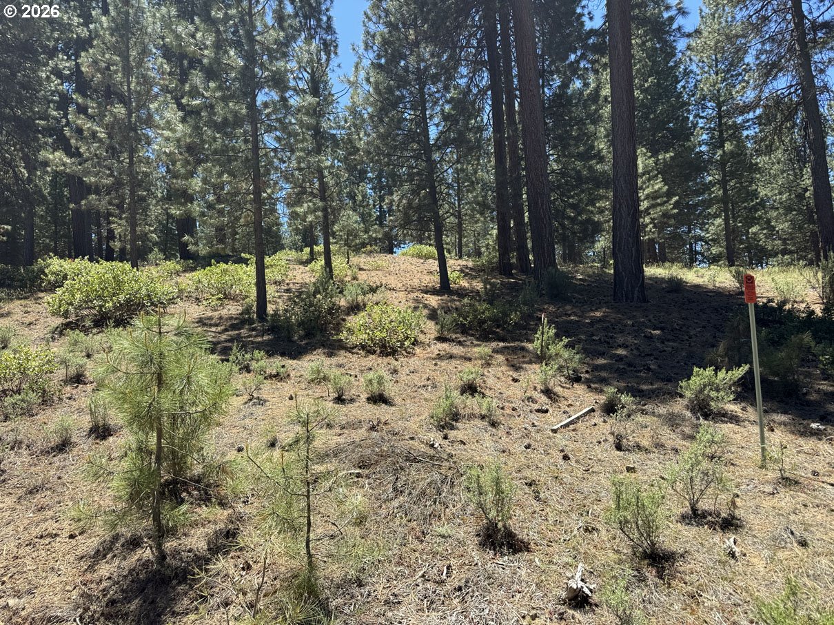 Incline Dr 22 Property Photo 8