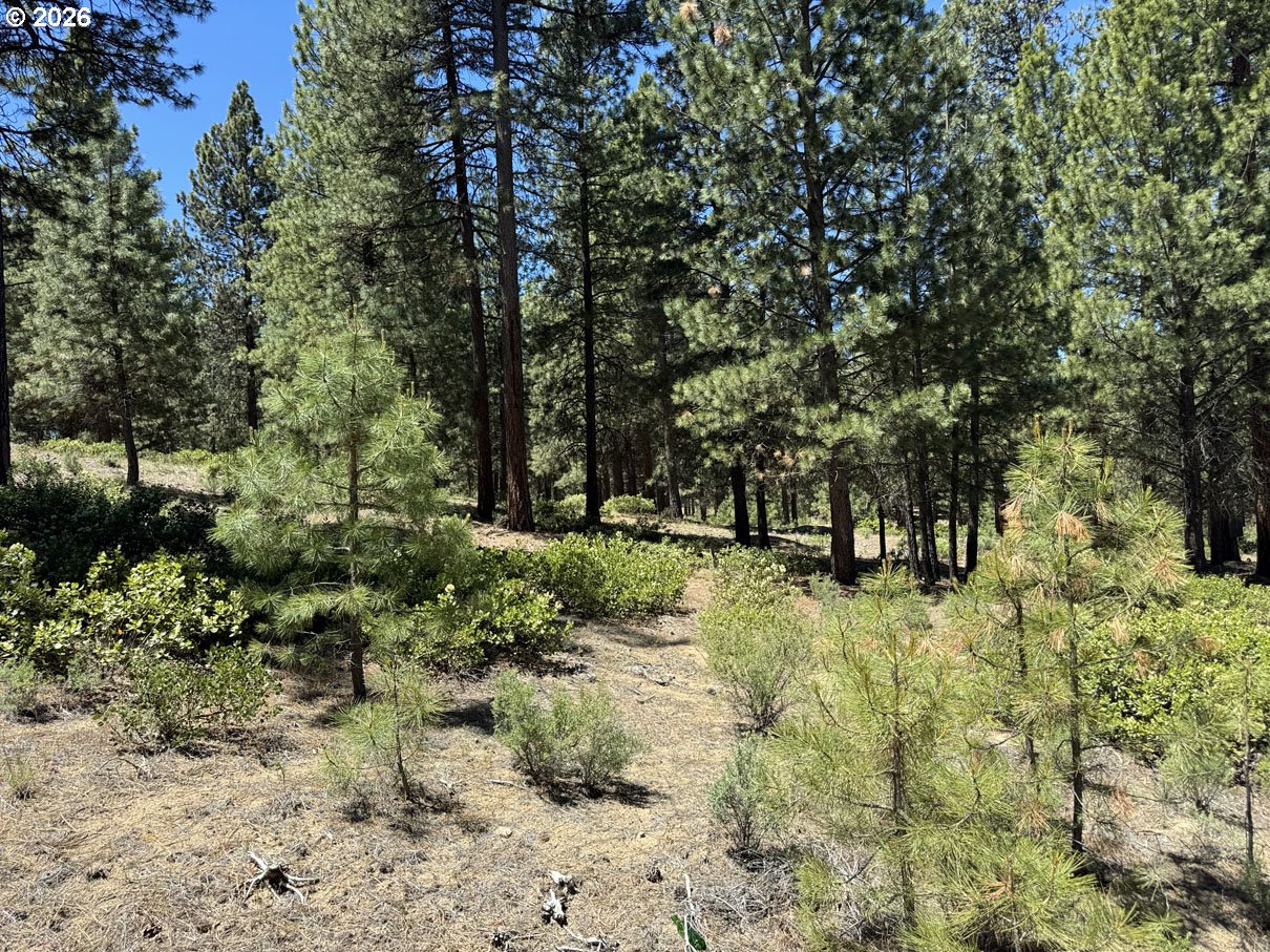 Incline Dr 22 Property Photo 10