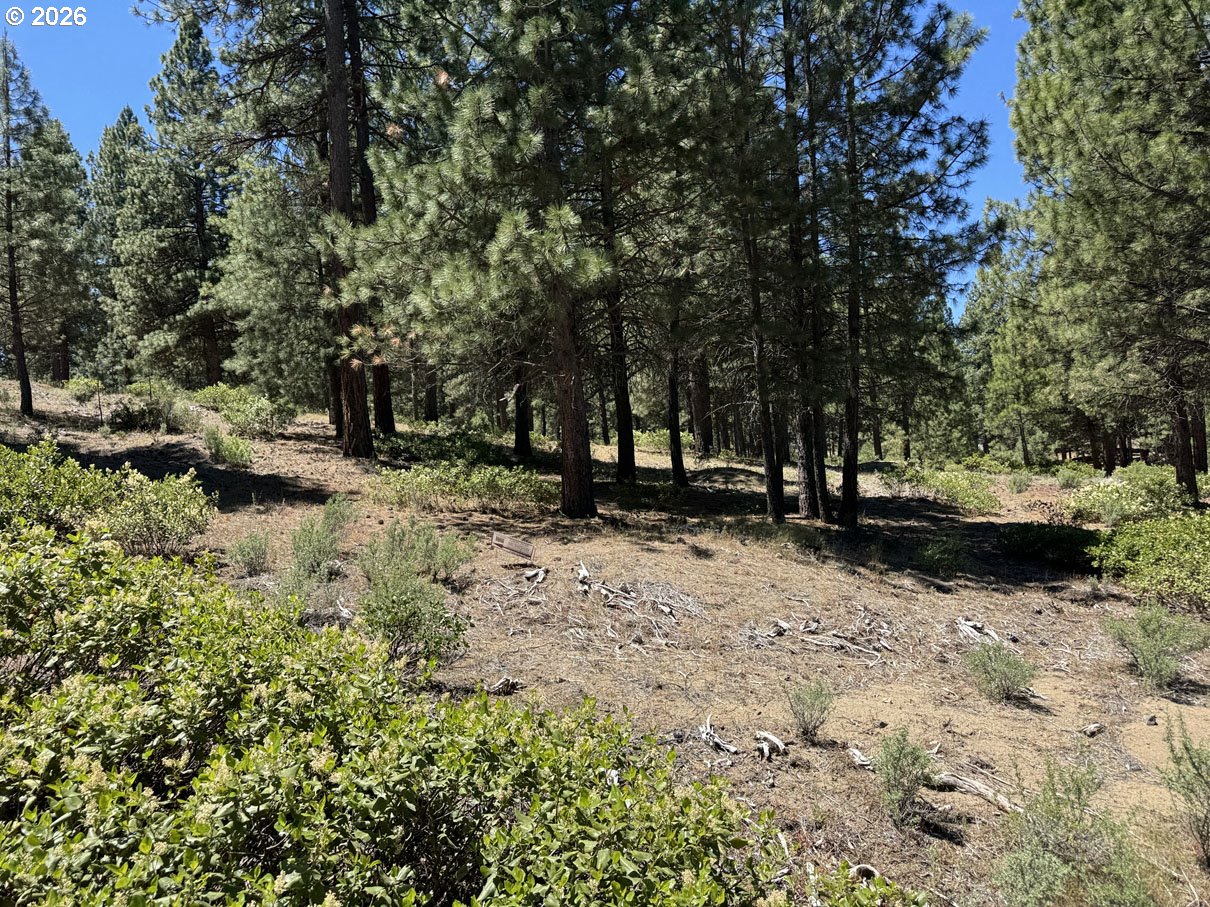 Incline Dr 22 Property Photo 13