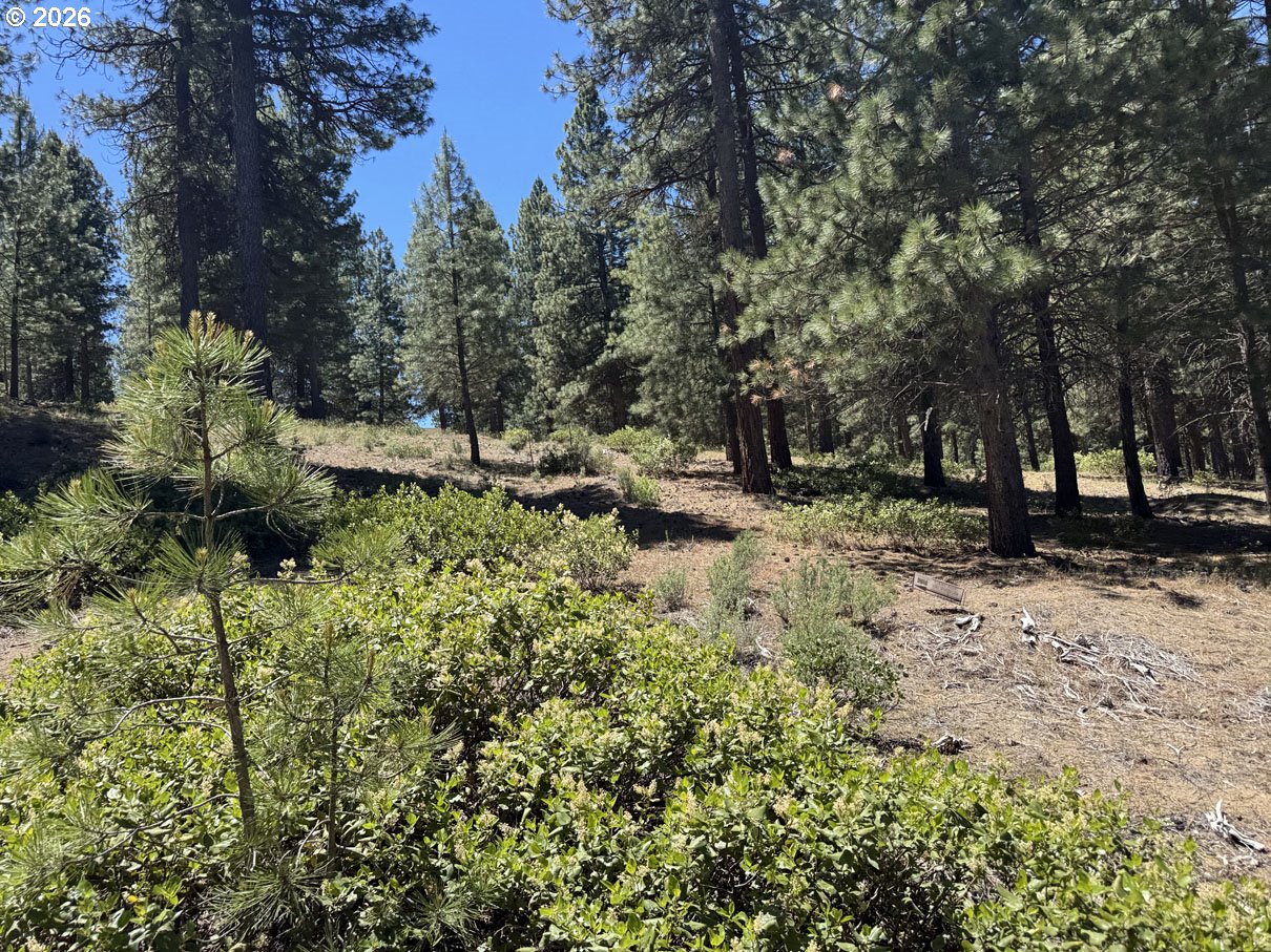 Incline Dr 22 Property Photo 14