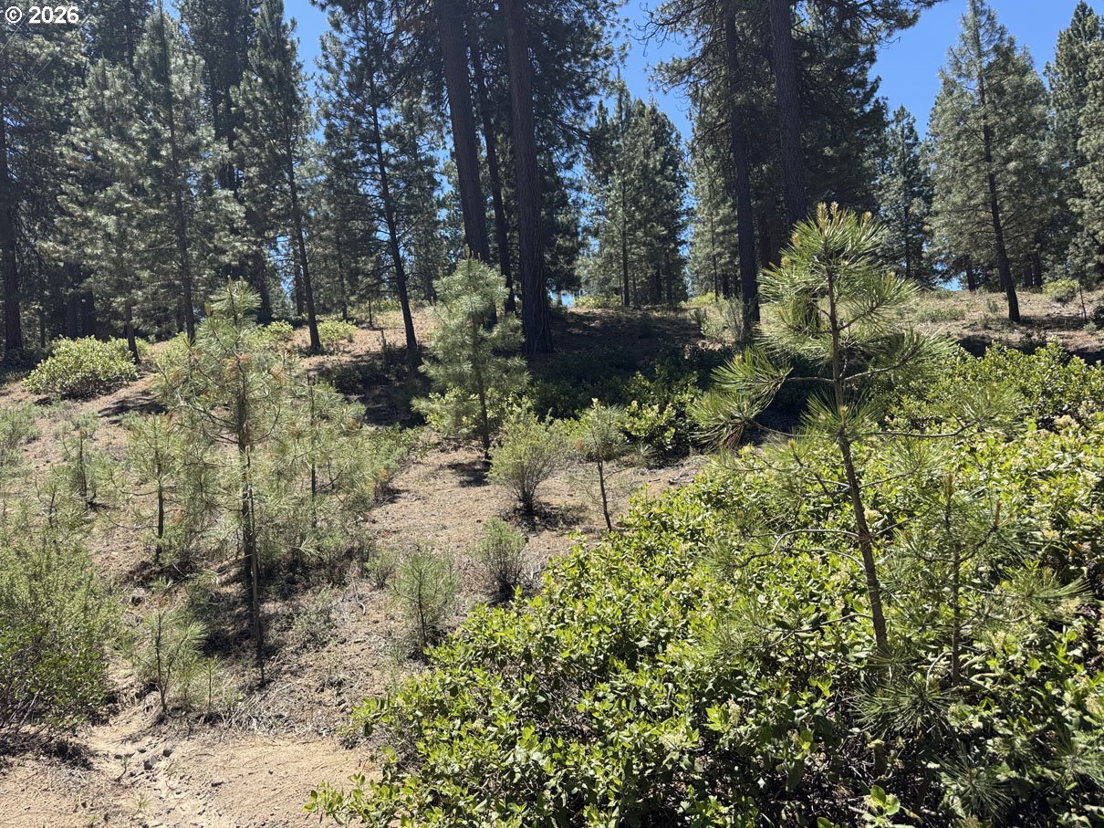 Incline Dr 22 Property Photo 15
