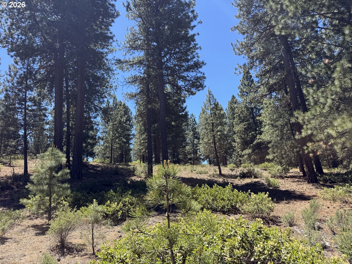 Incline Dr 22 Property Photo 16