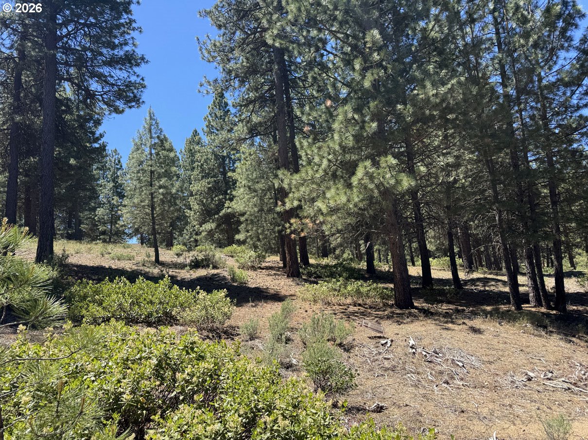 Incline Dr 22 Property Photo 17
