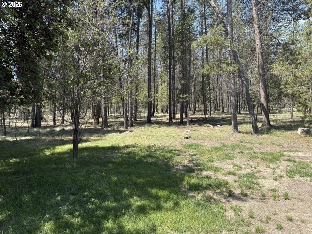 149935 Kurtz Rd Property Photo 39