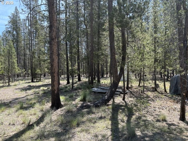 149935 Kurtz Rd Property Photo 43