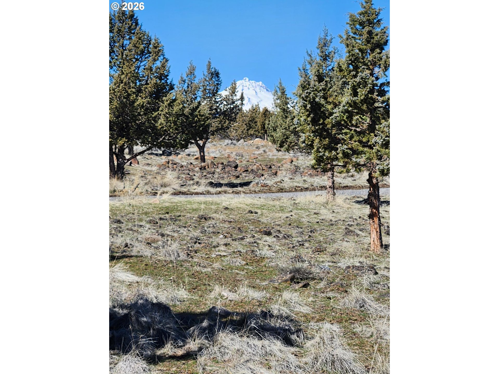 5630 Sw Knoll Dr Property Photo 14