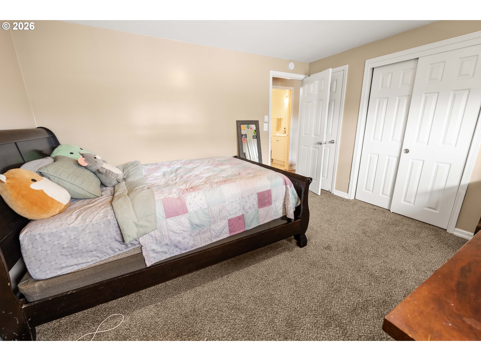 461 S Downing St Property Photo 13