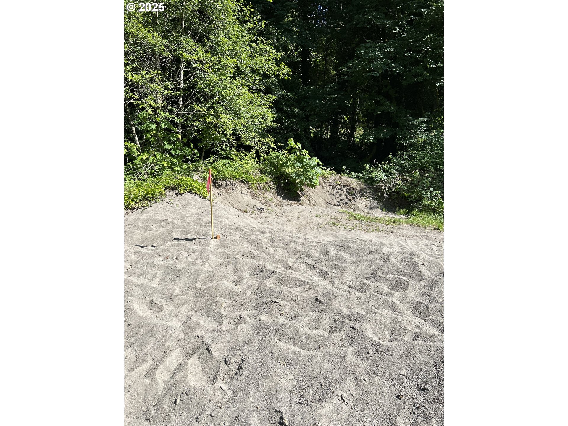 2 E Brightwood Loop Rd Property Photo 11