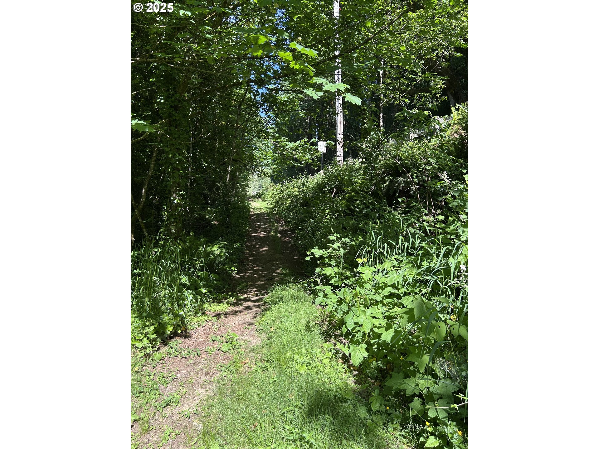 2 E Brightwood Loop Rd Property Photo 13