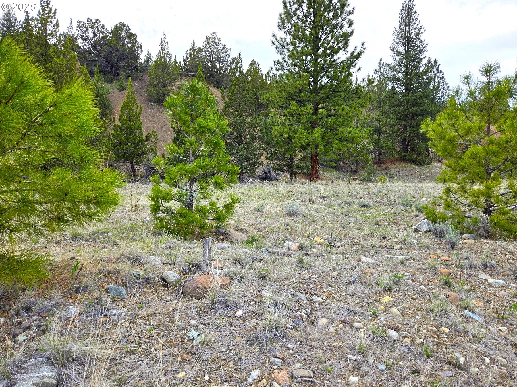 Elkview Dr Property Photo 2