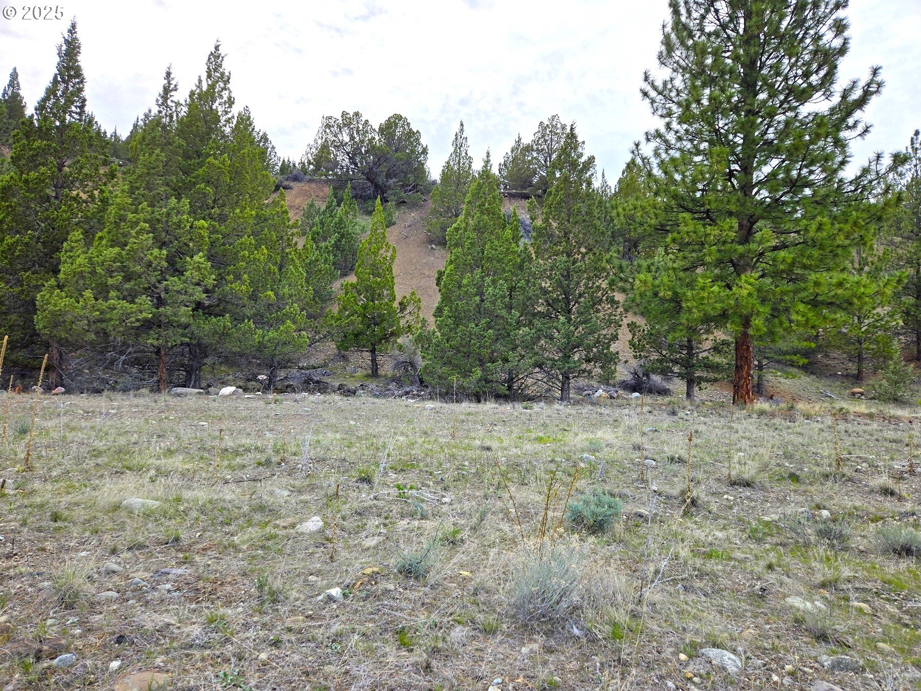 Elkview Dr Property Photo 3