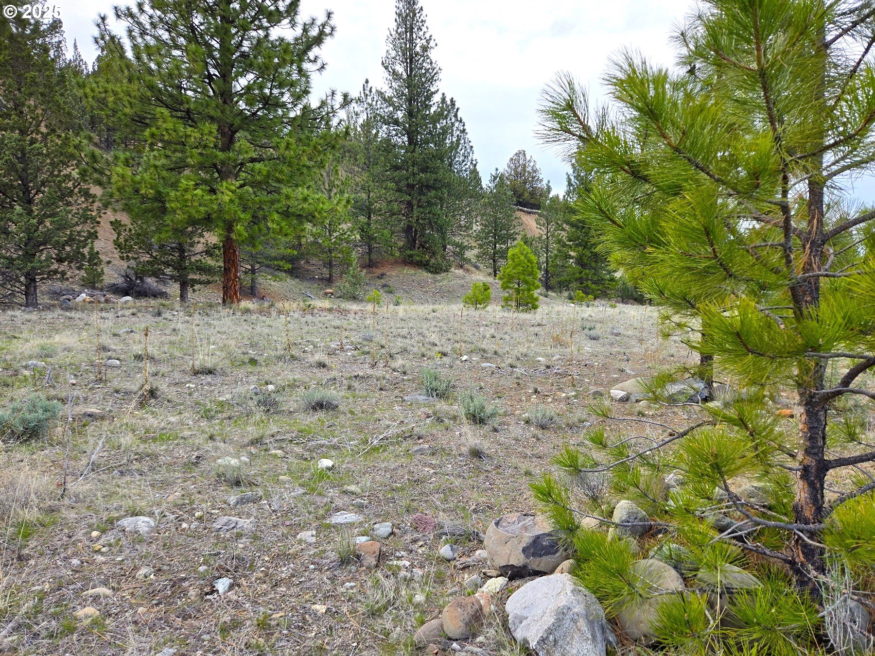 Elkview Dr Property Photo 4