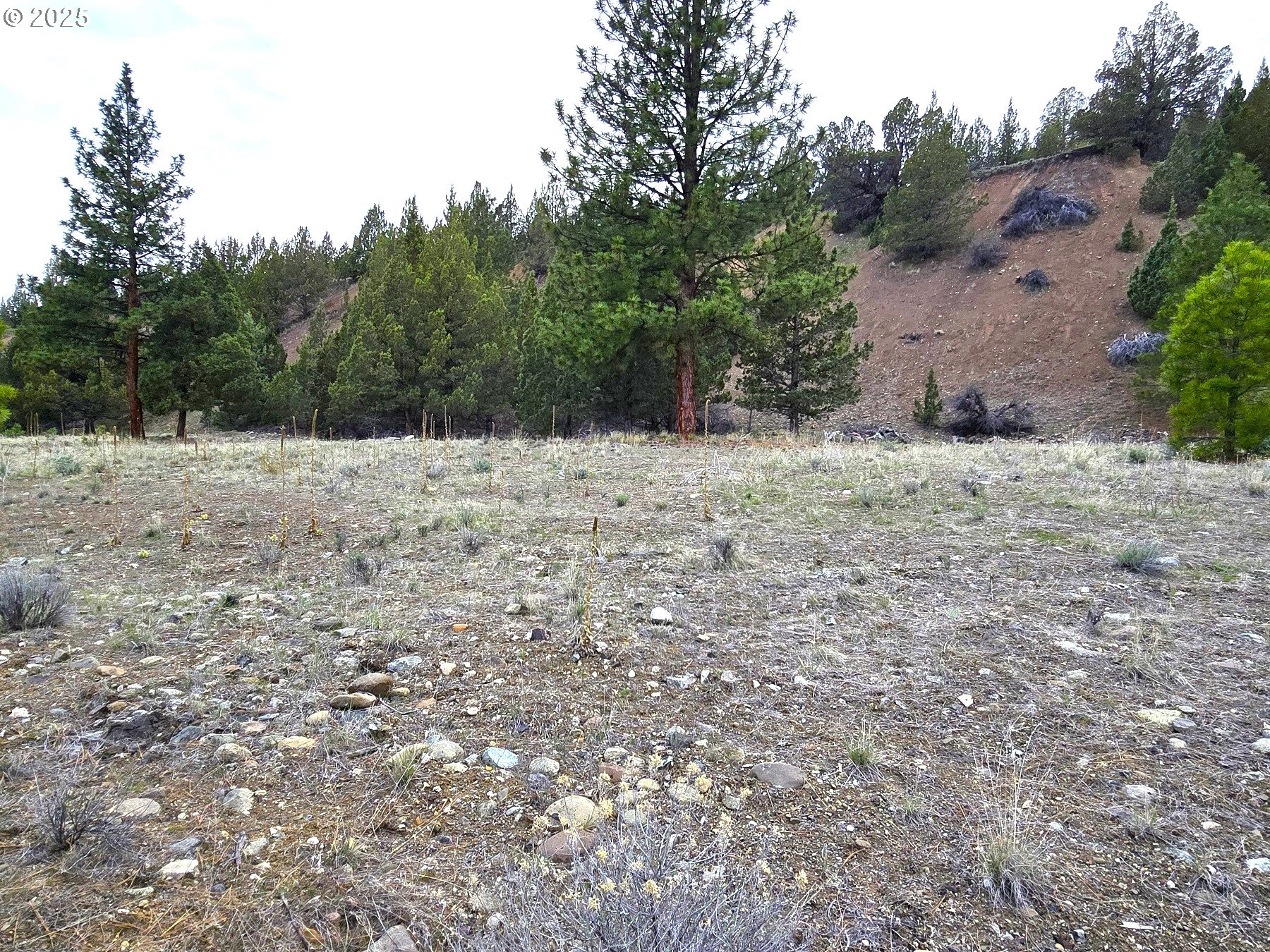 Elkview Dr Property Photo 8
