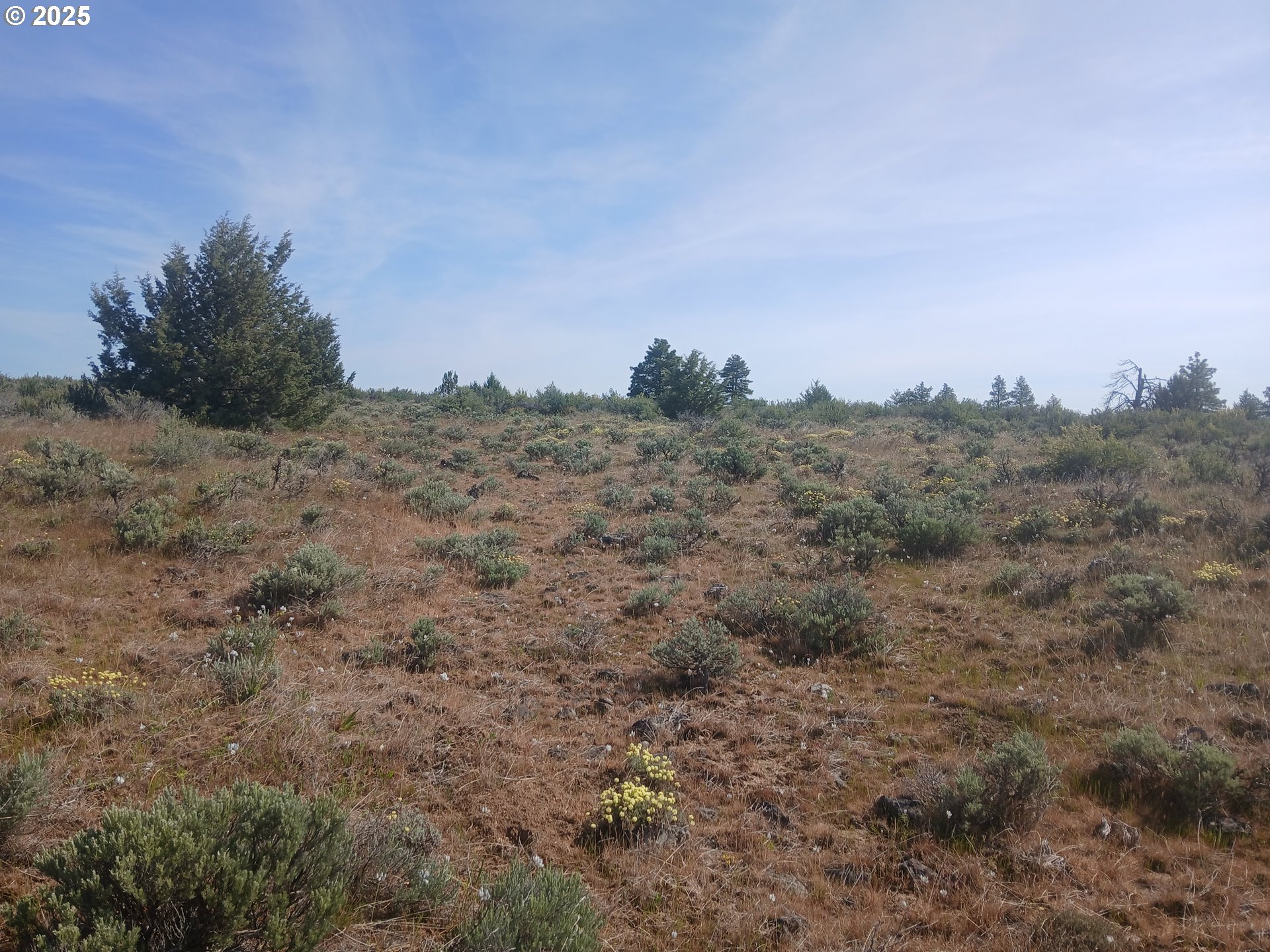Cougar Rd Property Photo 2