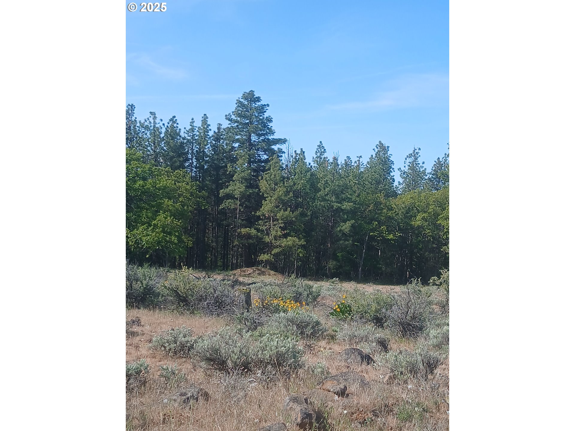 Cougar Rd Property Photo 3