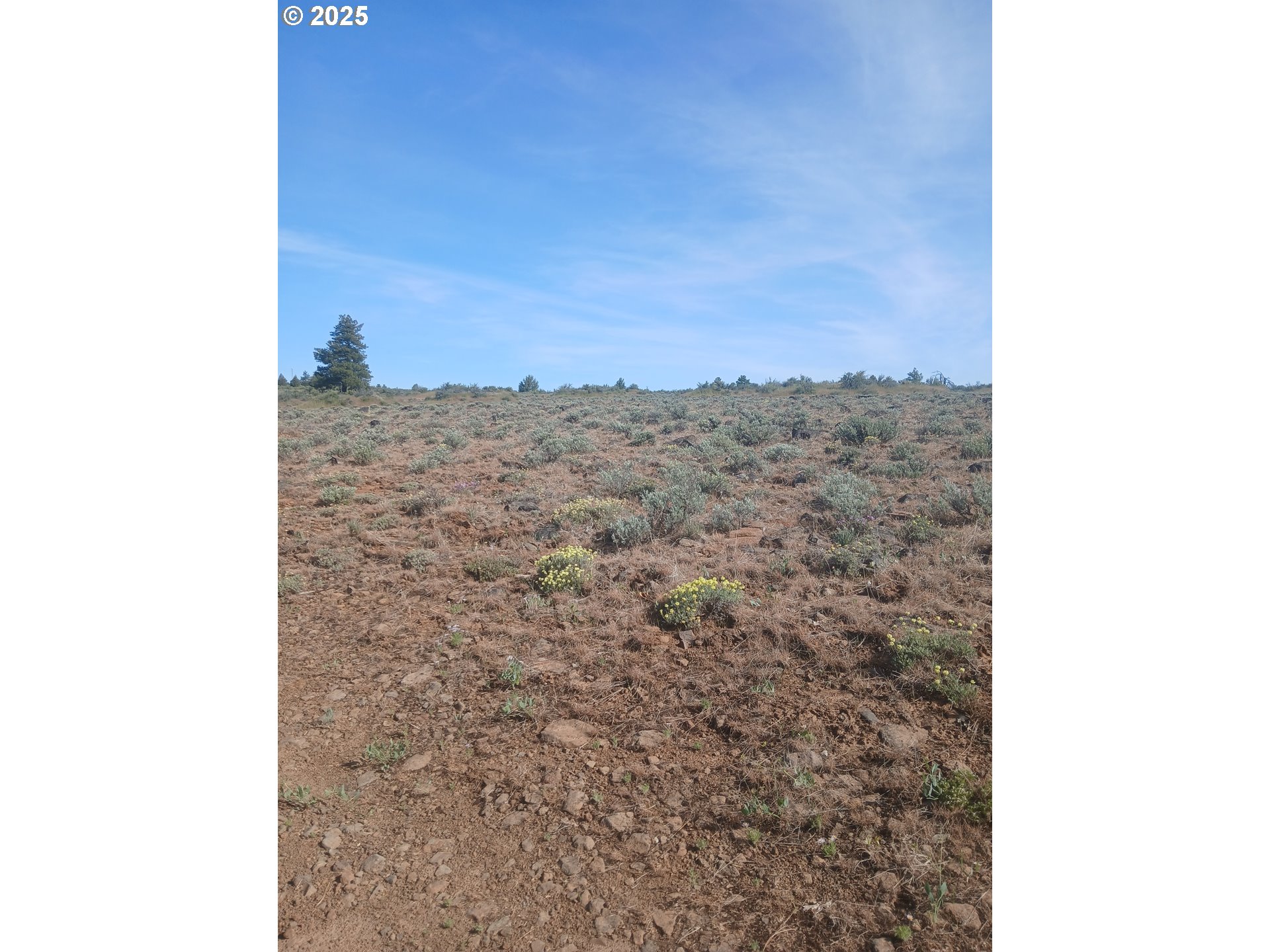 Cougar Rd Property Photo 4