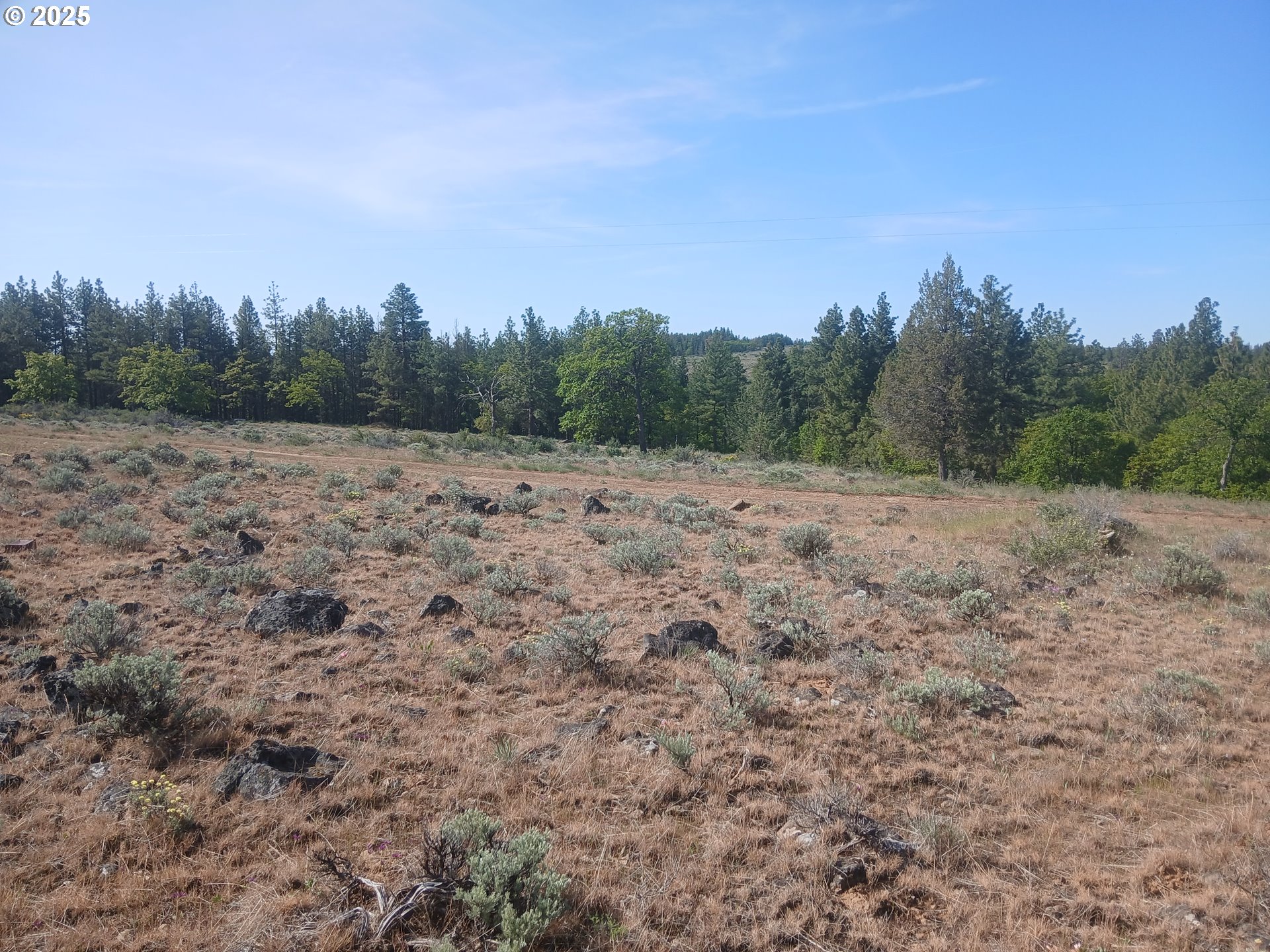 Cougar Rd Property Photo 5