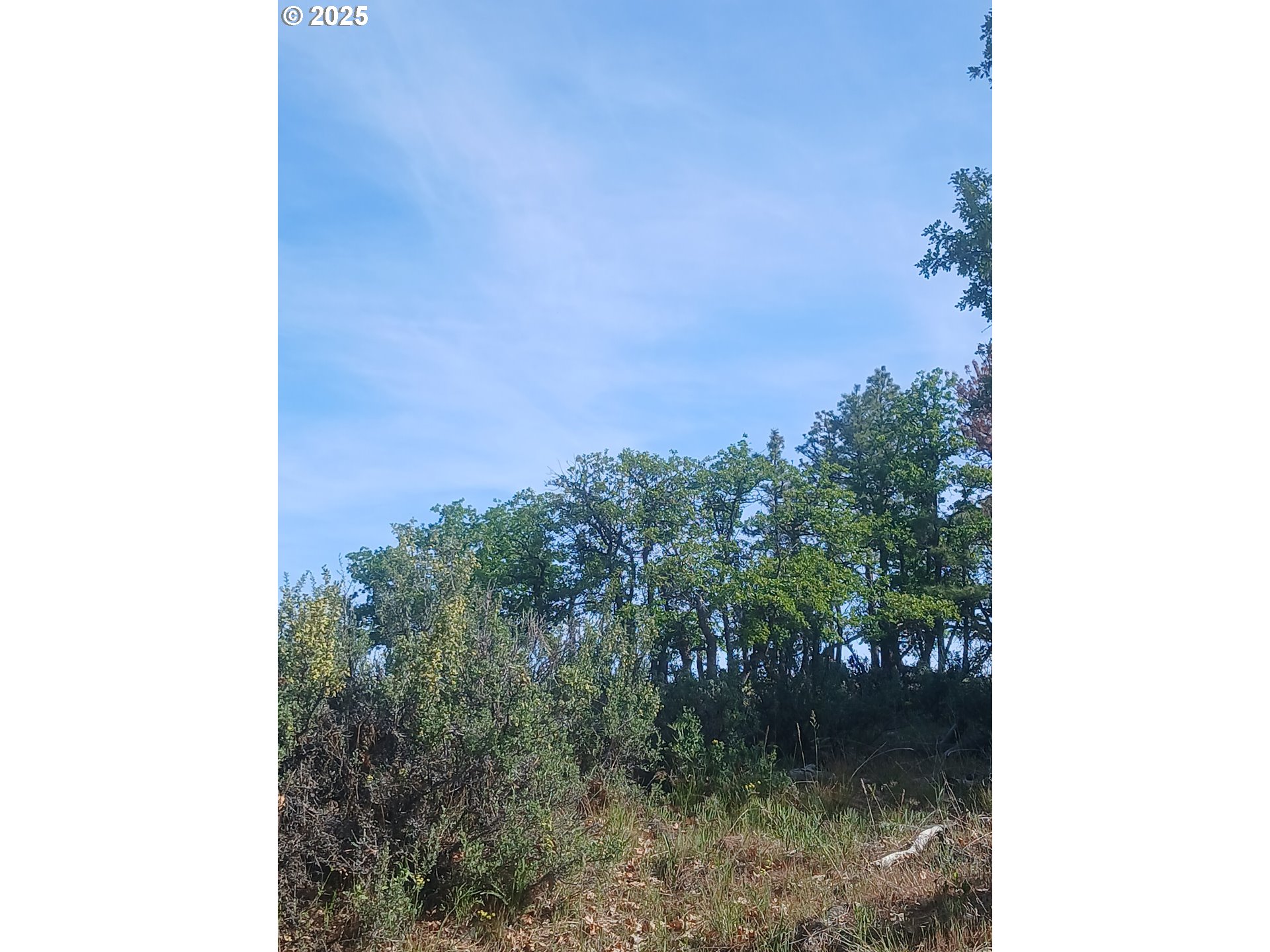 Cougar Rd Property Photo 7