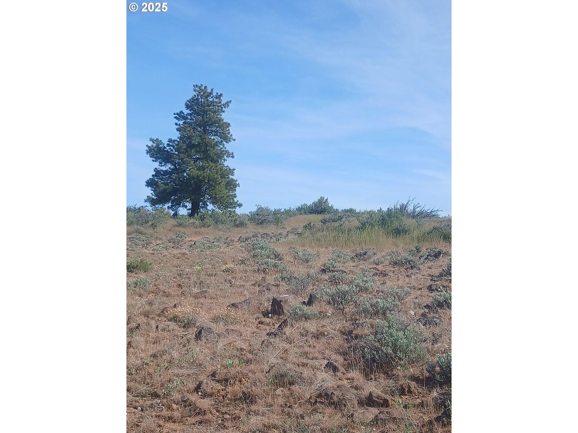 Cougar Rd Property Photo 8