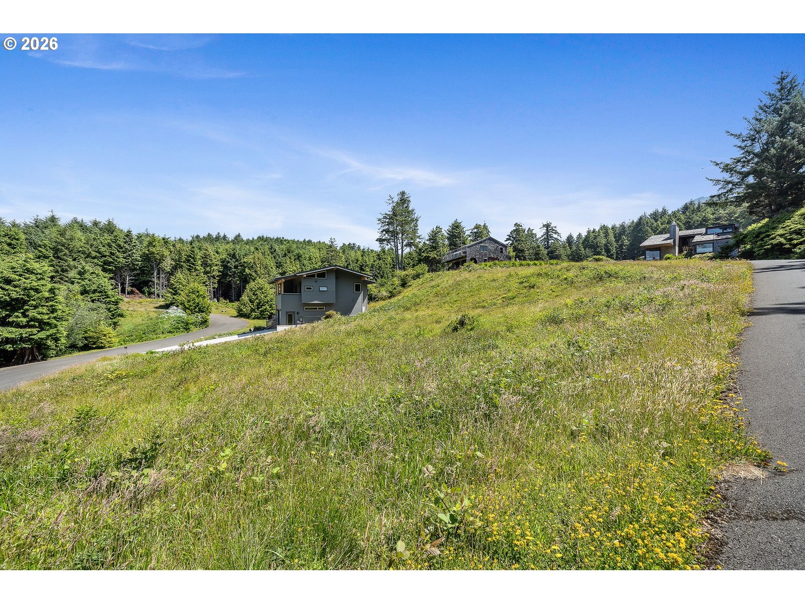 Big Cedar Dr 13 Property Photo 2