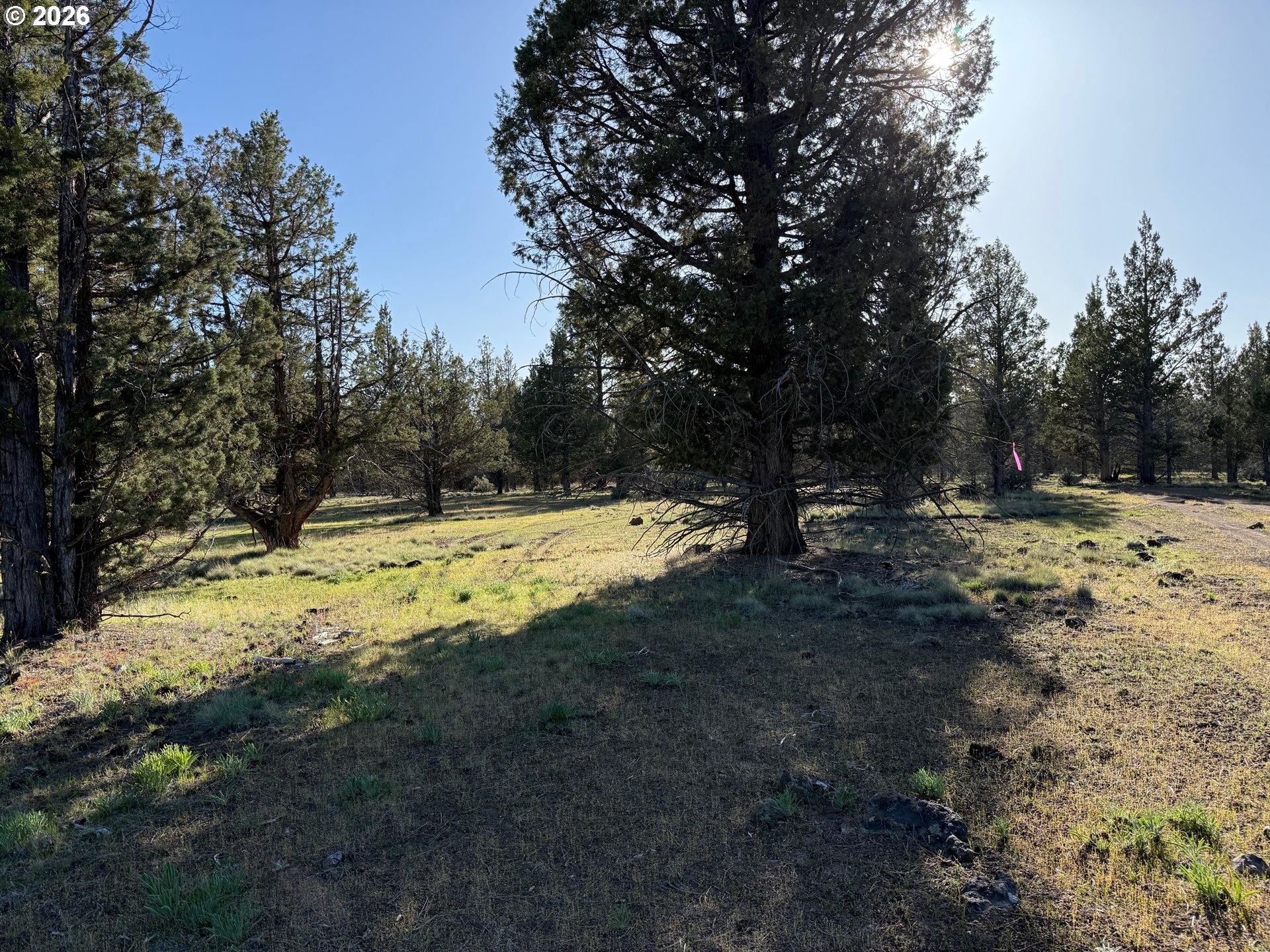 0 Fishhole Creek Rd Property Photo 2