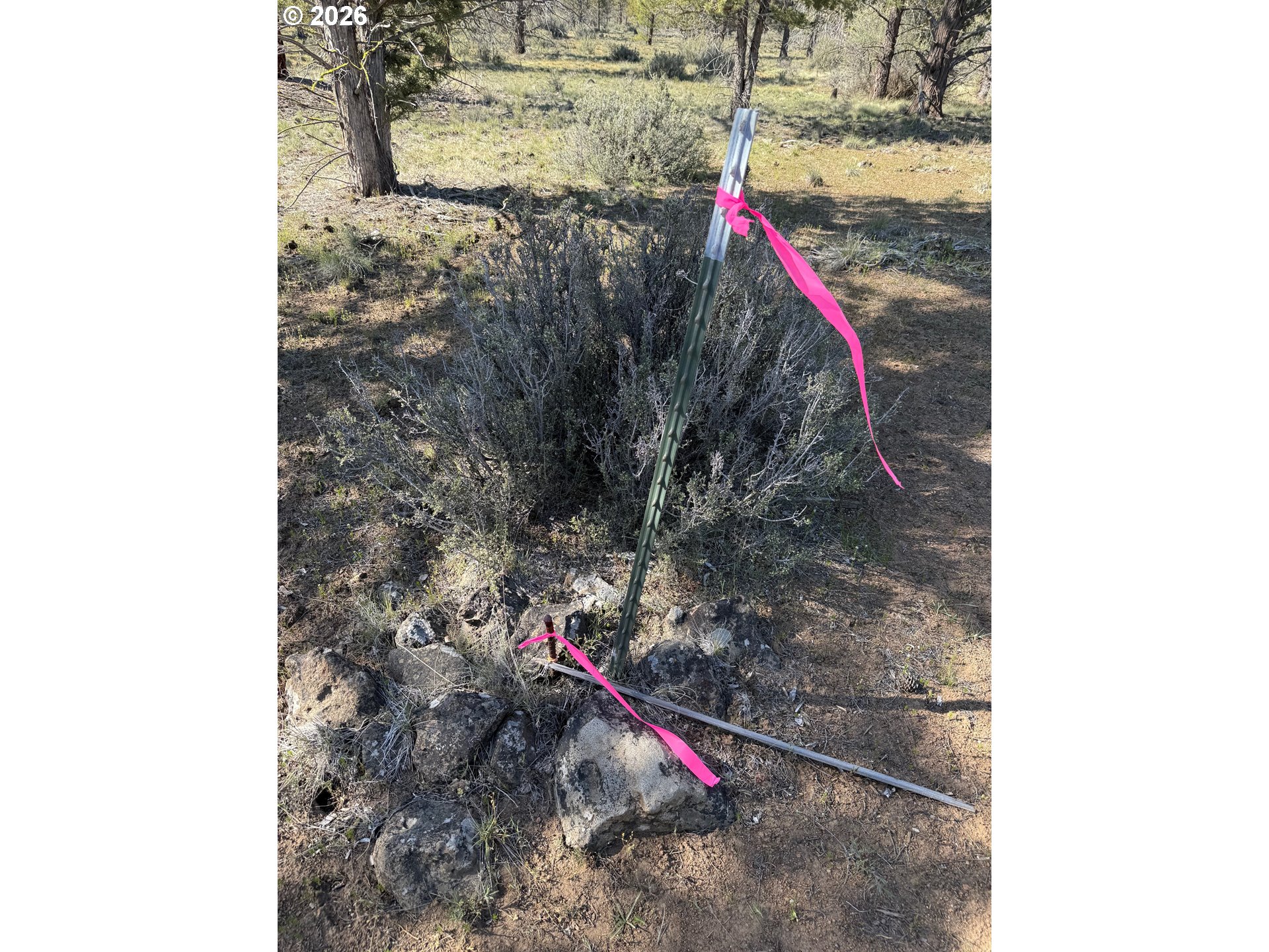 0 Fishhole Creek Rd Property Photo 15