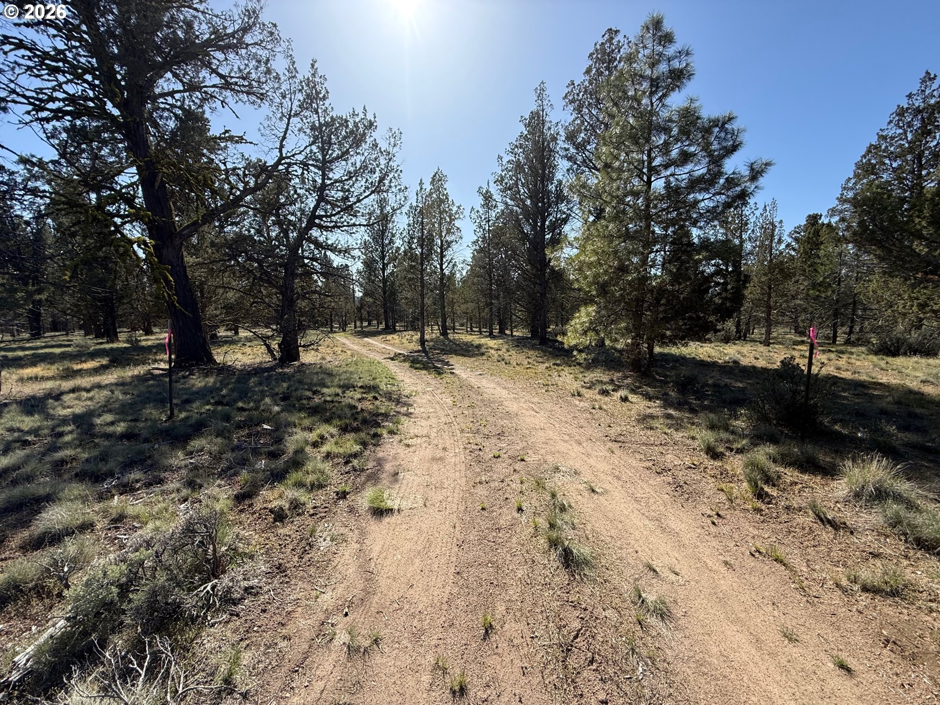 0 Fishhole Creek Rd Property Photo 16