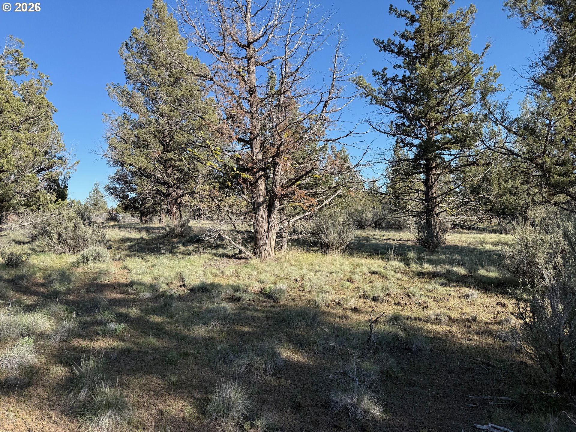 0 Fishhole Creek Rd Property Photo 17
