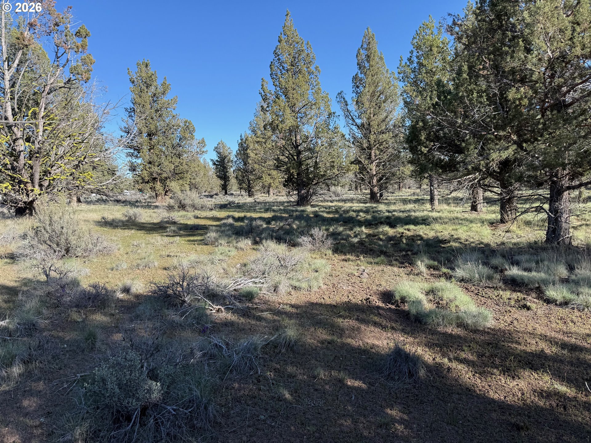 0 Fishhole Creek Rd Property Photo 18