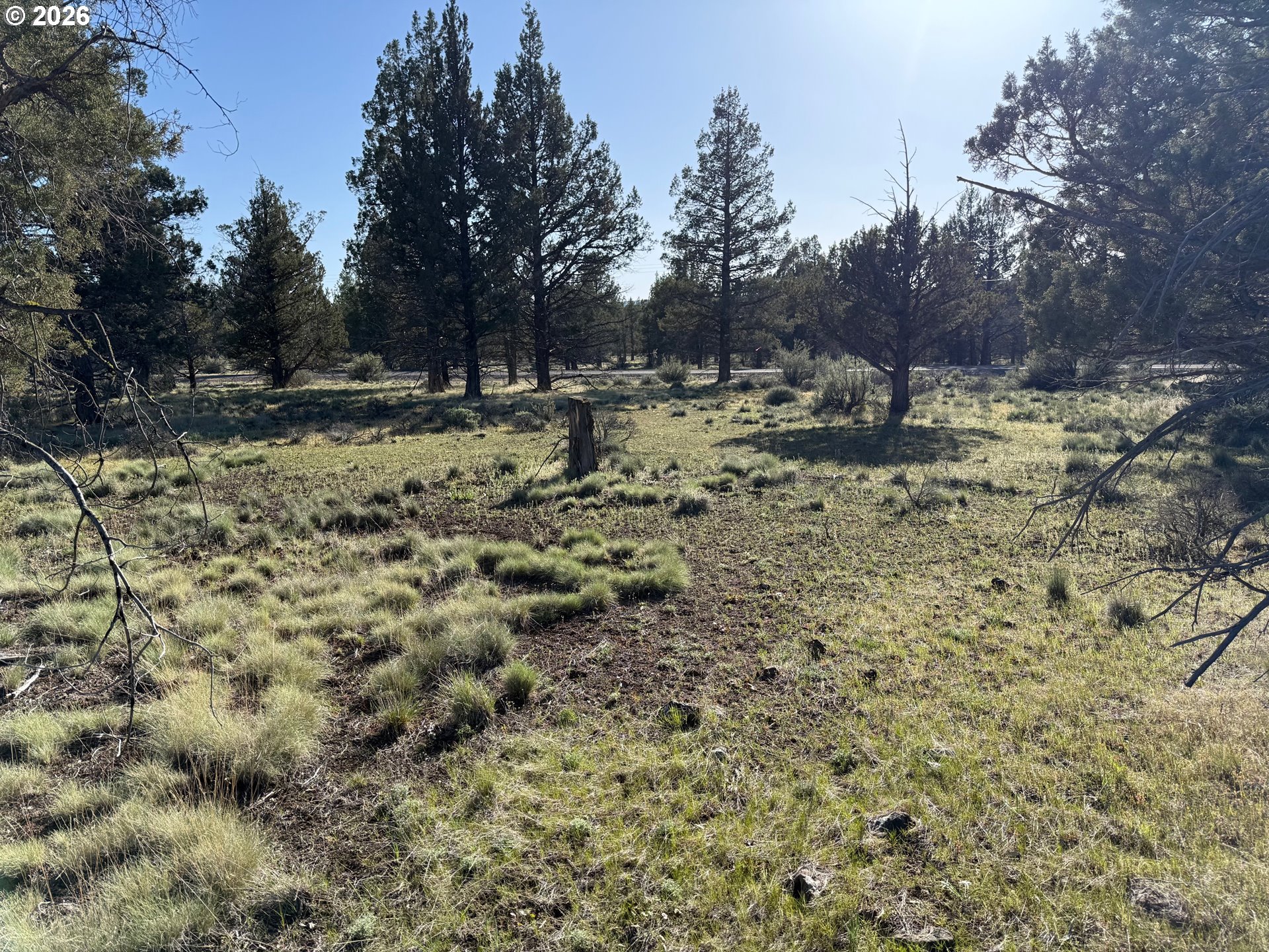 0 Fishhole Creek Rd Property Photo 19