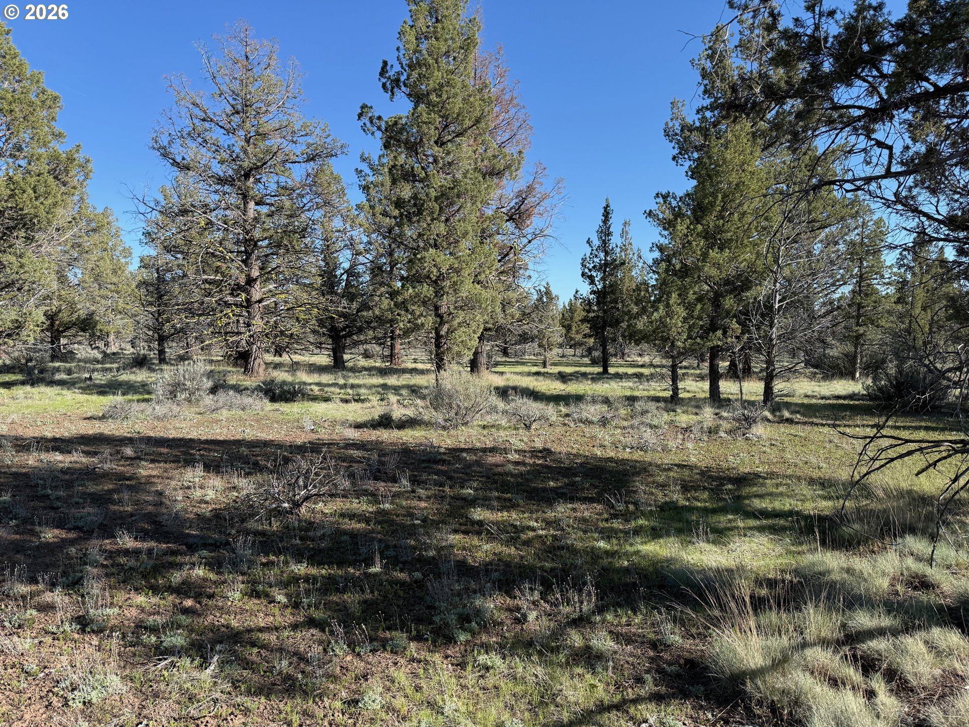 0 Fishhole Creek Rd Property Photo 20