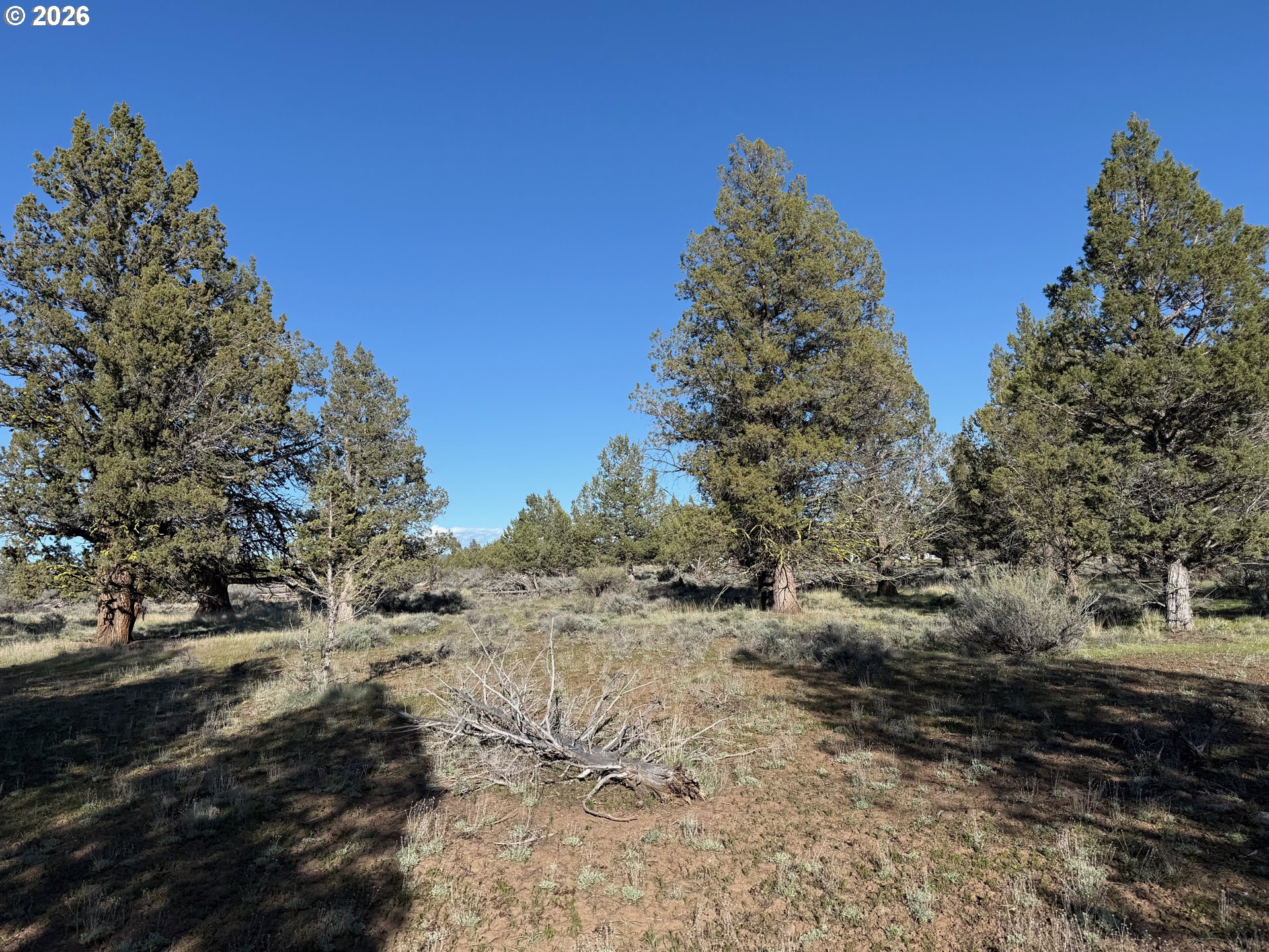 0 Fishhole Creek Rd Property Photo 21