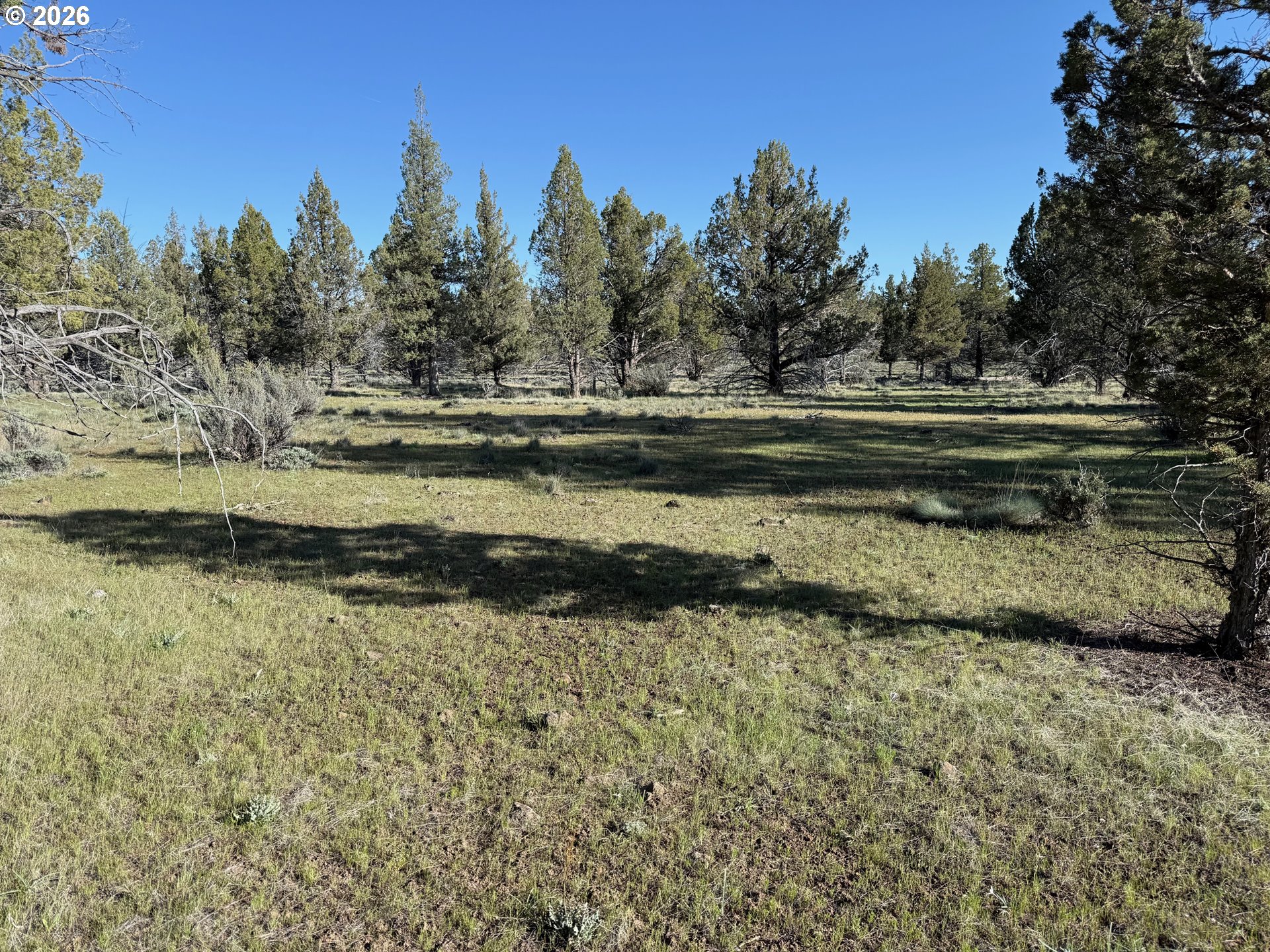 0 Fishhole Creek Rd Property Photo 22